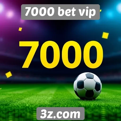 Visão geral dos serviços oferecidos pelo 7000 bet vip